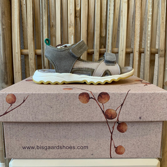 Bisgaard "coco" Olive