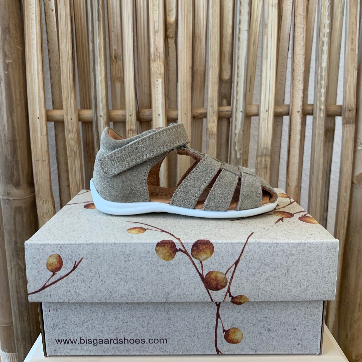 Bisgaard "carly" Sage