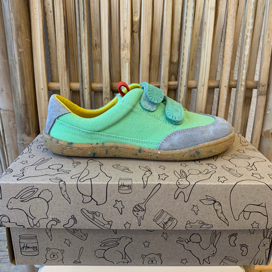 Groundies "Amsterdam Kids" Grün